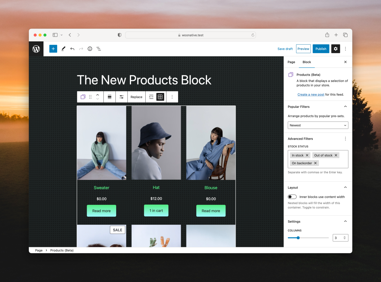WooCommerce Blocks 9.1.0 Release Notes
