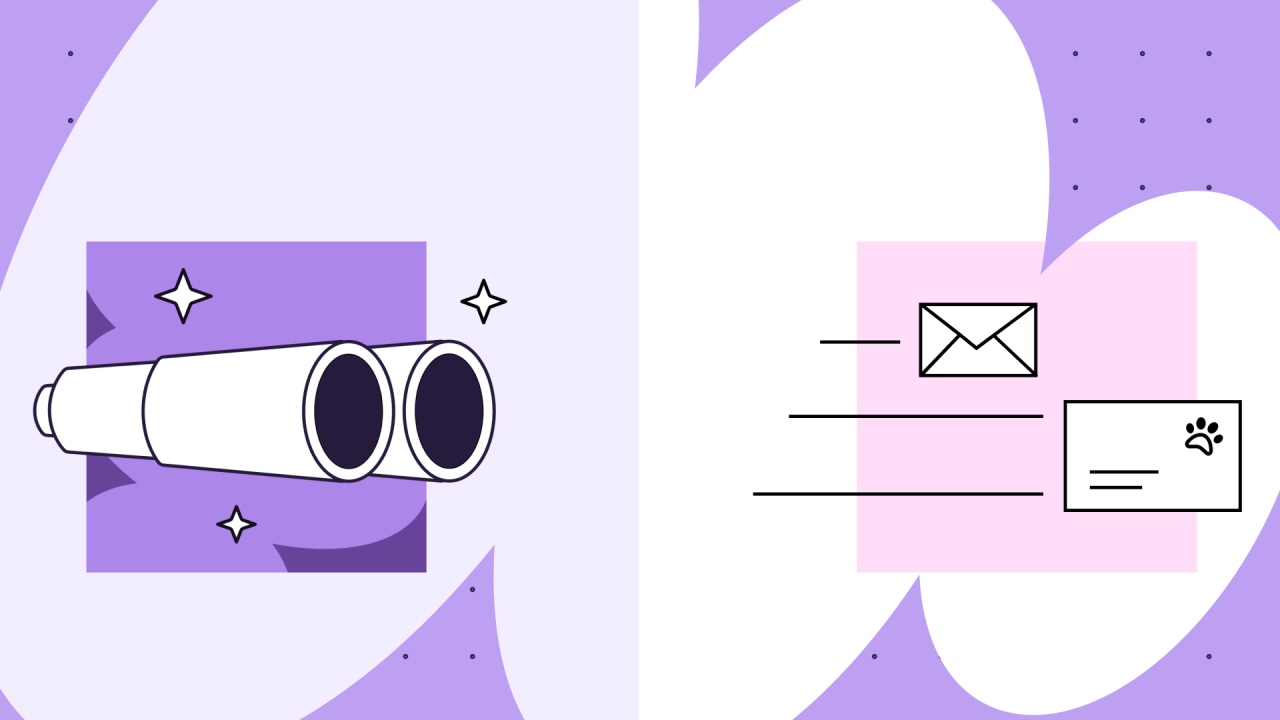 Introducing the new Woo Developer Newsletter