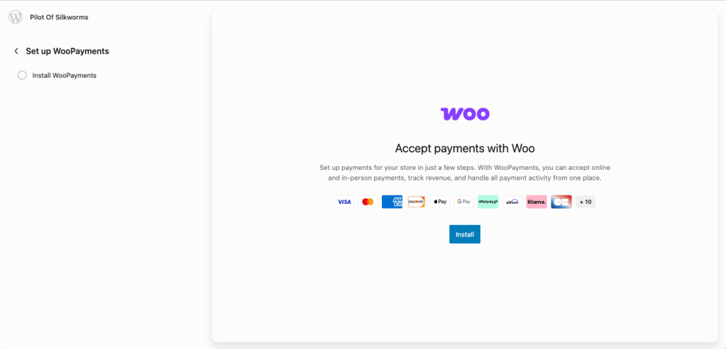 Screenshot of the WooPayments setup interface for WooCommerce, displaying instructions to accept payments online and in-person, featuring various payment method icons and an 'Install' button.