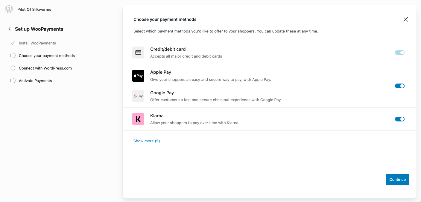 Screenshot of the WooCommerce payment methods setup page, displaying options for Credit/Debit cards, Apple Pay, Google Pay, and Klarna.