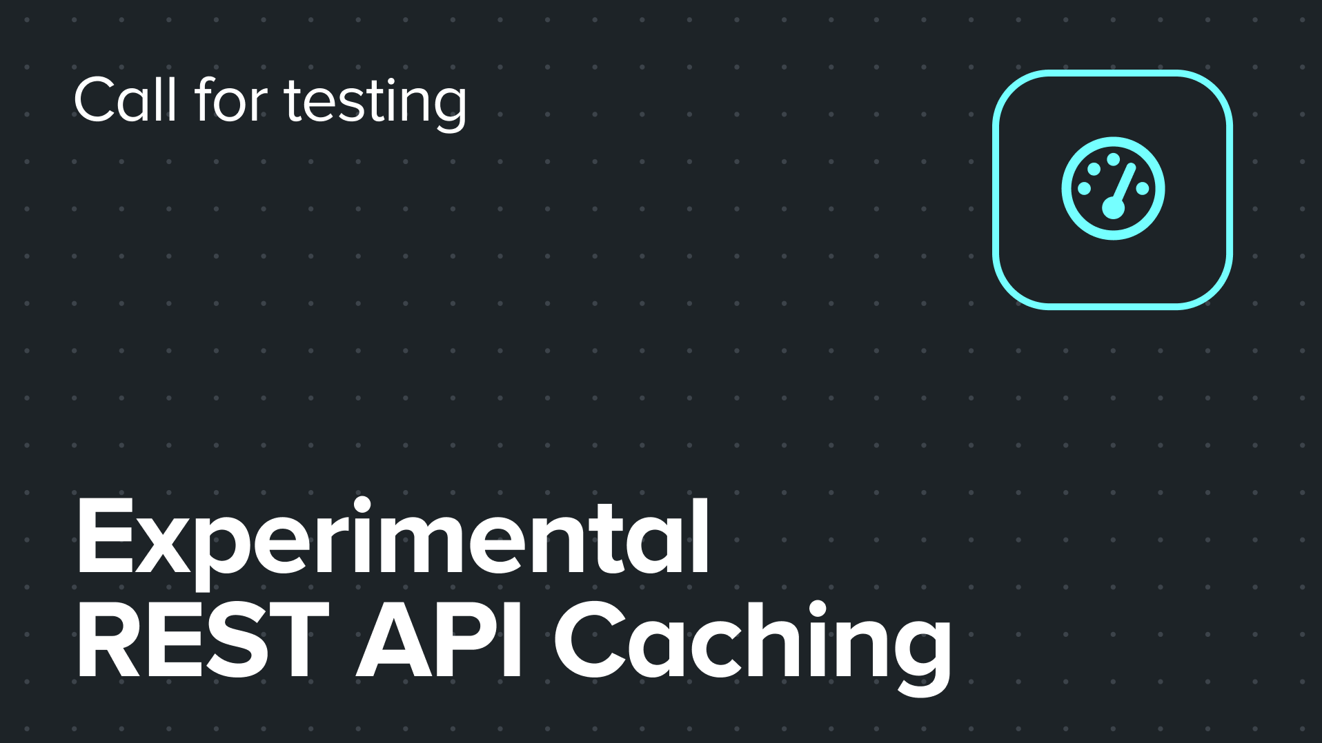 Call for testing: Experimental REST API Caching in WooCommerce 10.5