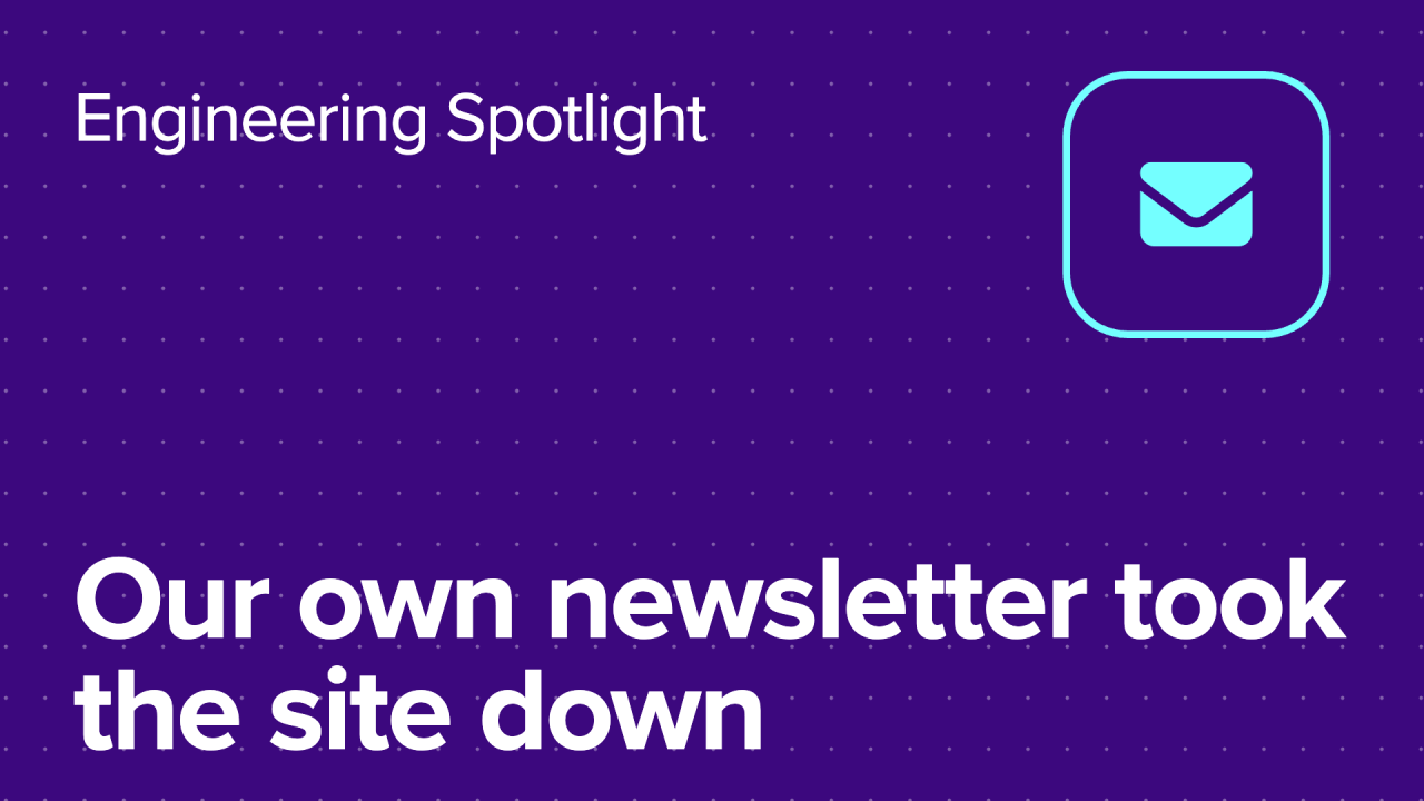 Our own newsletter took the site down