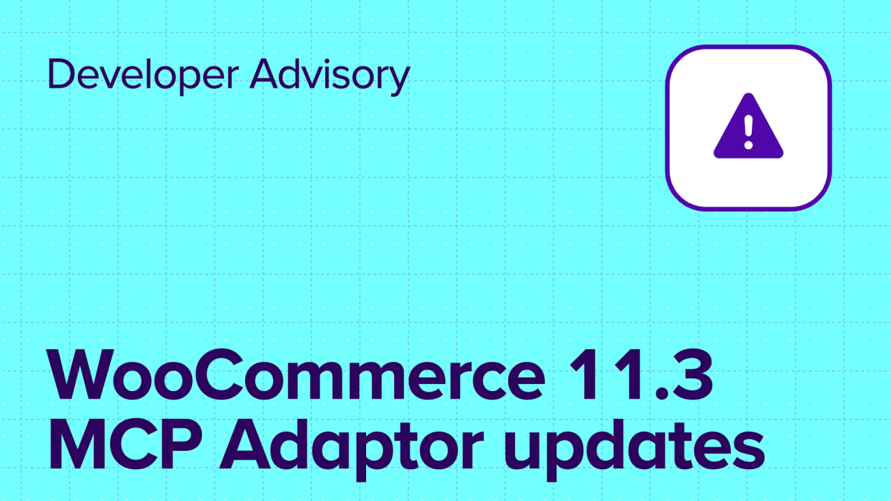 WooCommerce 11.3 MCP Adaptor updates